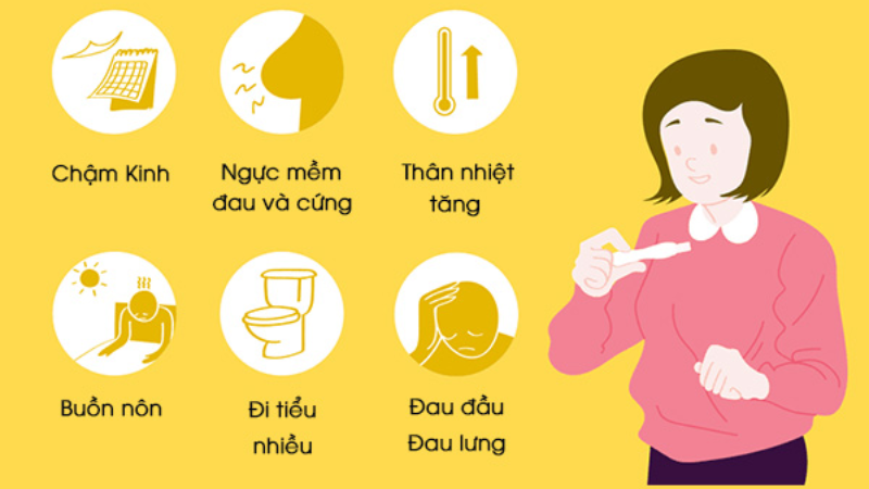 dấu hiệu mang thai sớm