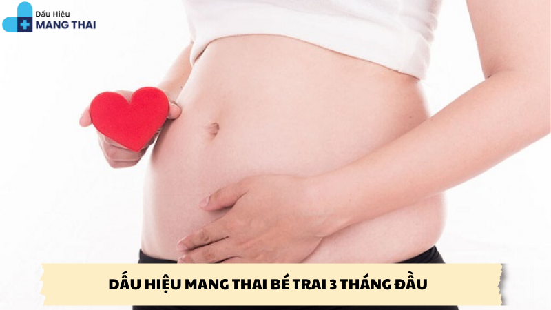 dấu hiệu mang thai bé trai 3 tháng đầu