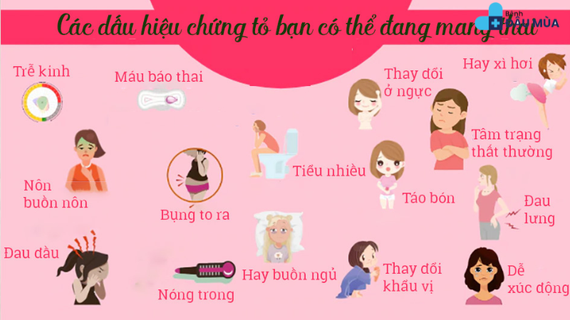 các dấu hiệu mang thai