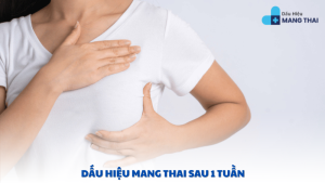 dấu hiệu mang thai sau 1 tuần